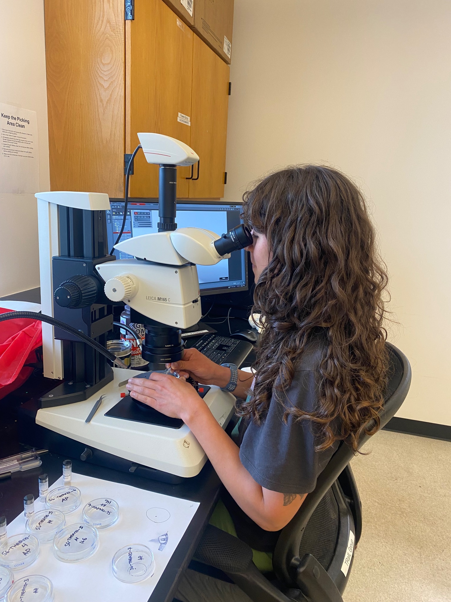 Picking apatites at the CUTRaIL Lab