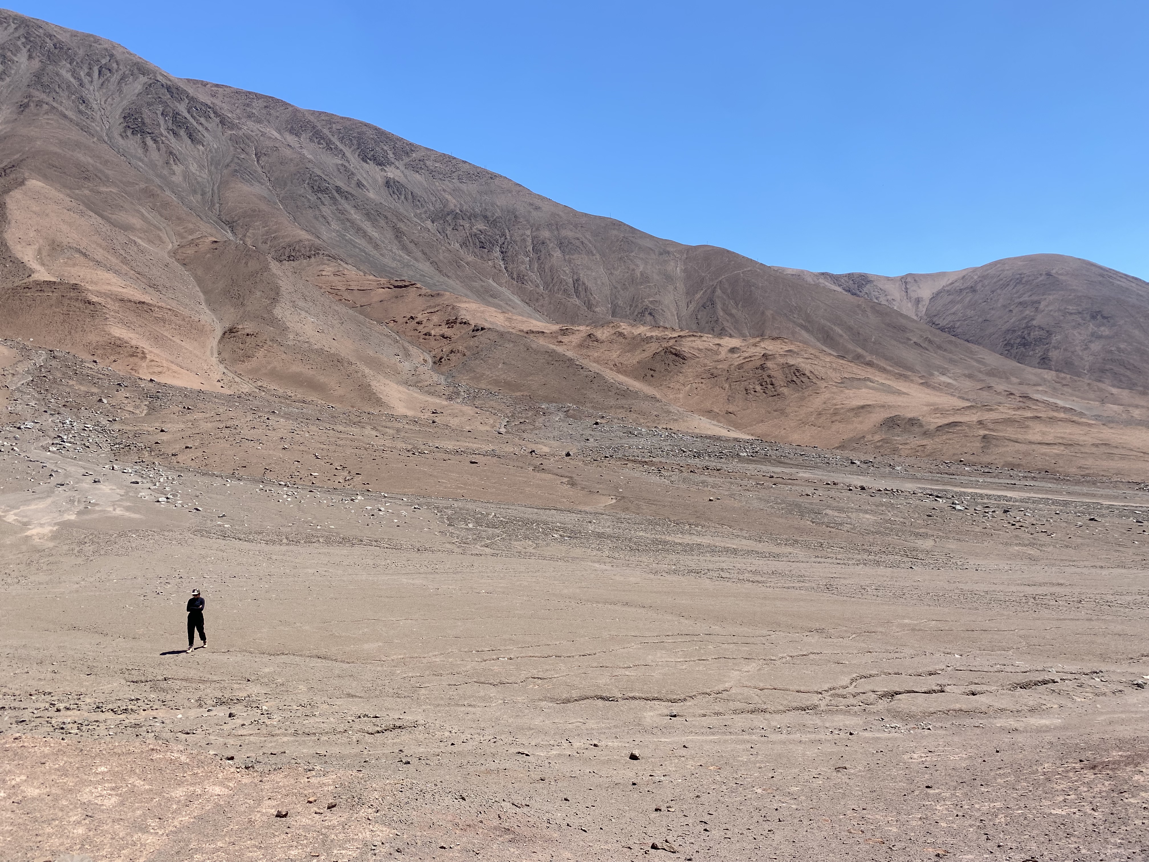 Cerro Carrasco, Northern Chile. Field assistant Emma Heitmann walking on alluvial fans near Salar Grande Fault.